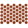 Screw Cover Caps Self-Adhesive - Birch 14mm